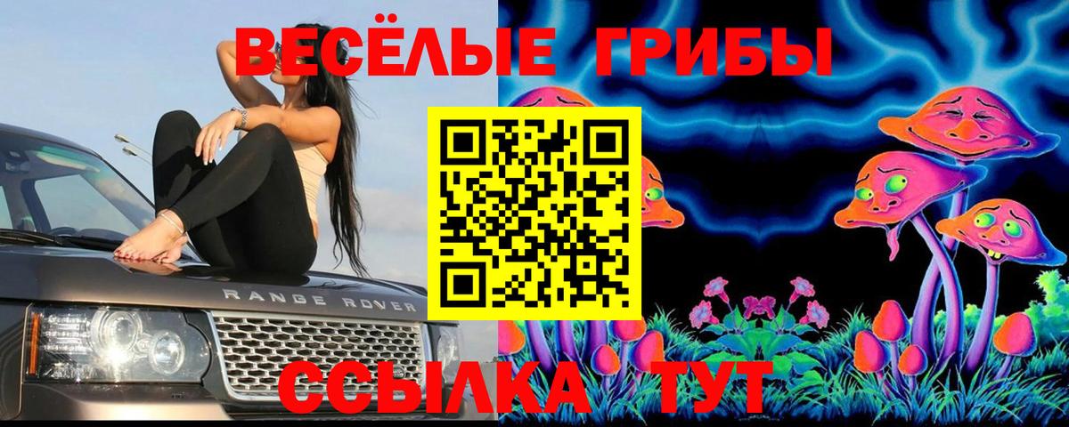 Галлюциногенные грибы Cubensis Горно-Алтайск